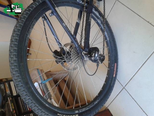 pinkbike
