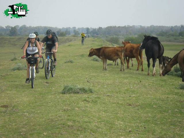 BIKERS RURALES