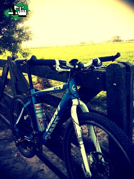 Entrenando por luján