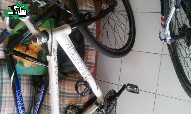 claubici