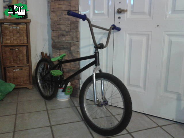 colt v10