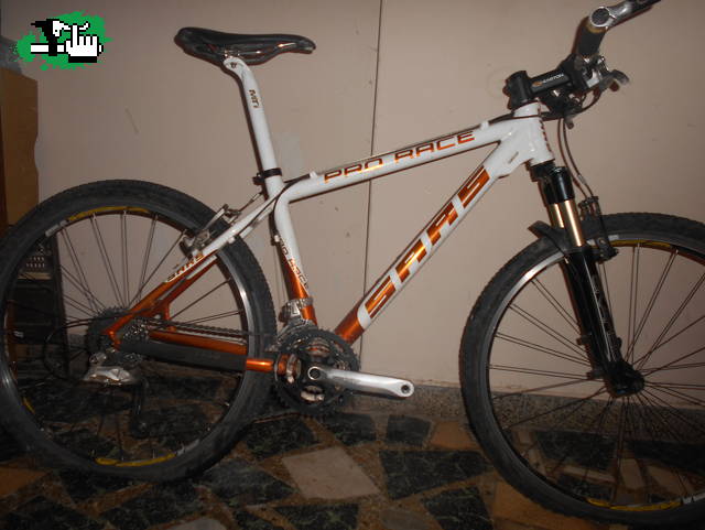 carlos385