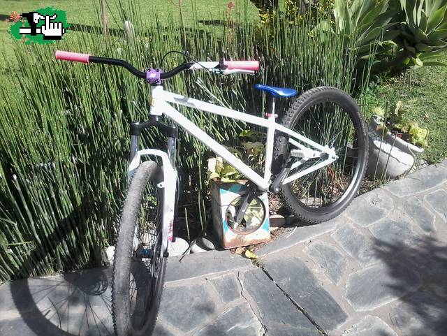 toti324