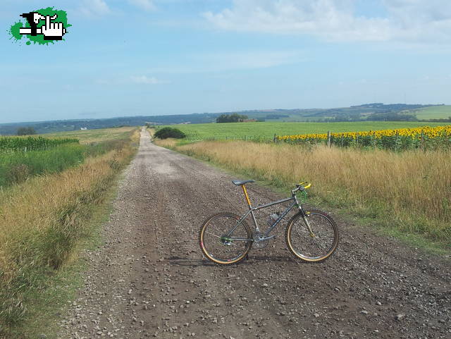 Salida de verano