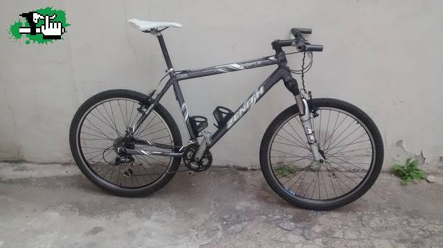 triguille