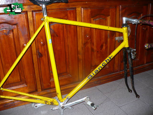 sergionecochea