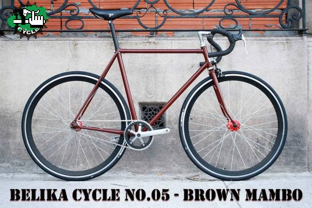 FIXIE MARRON ROBADA EN LA ZONA DE PLAZA DE MAYO