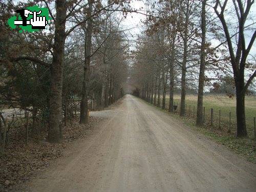 BIKERS RURALES