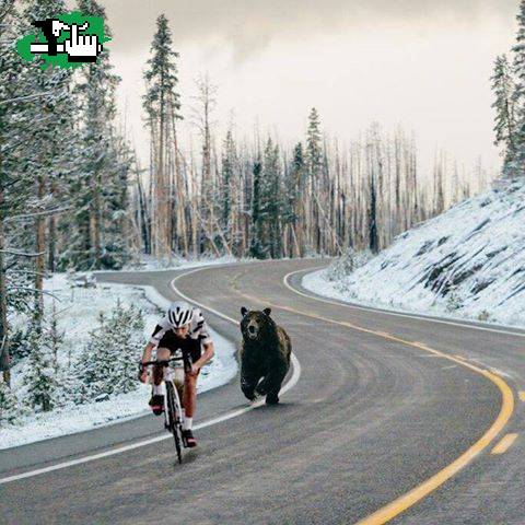 Me corre el Oso..