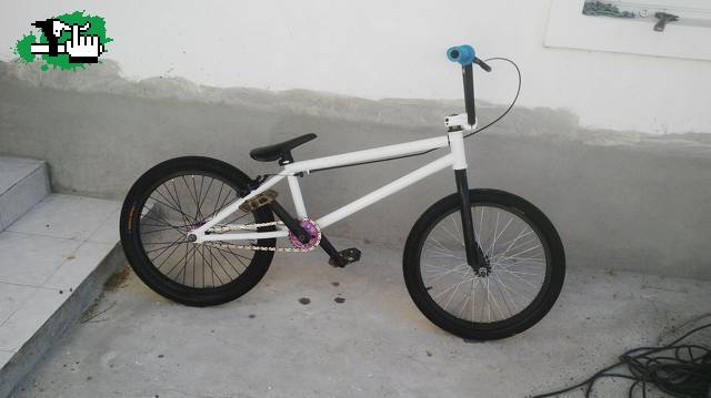 PipaGibbon