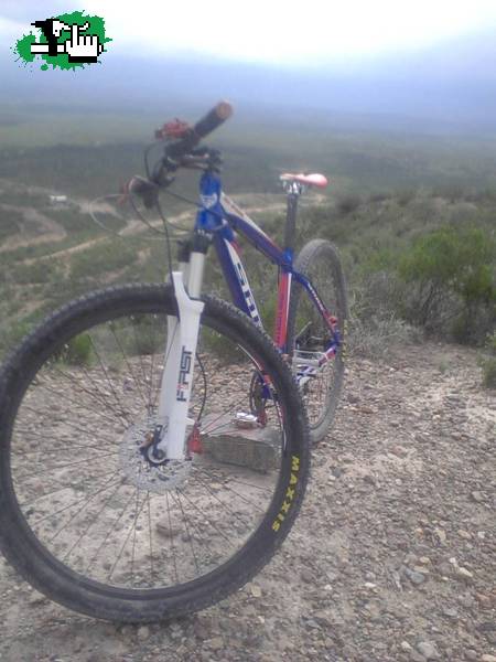 Mi sars 29