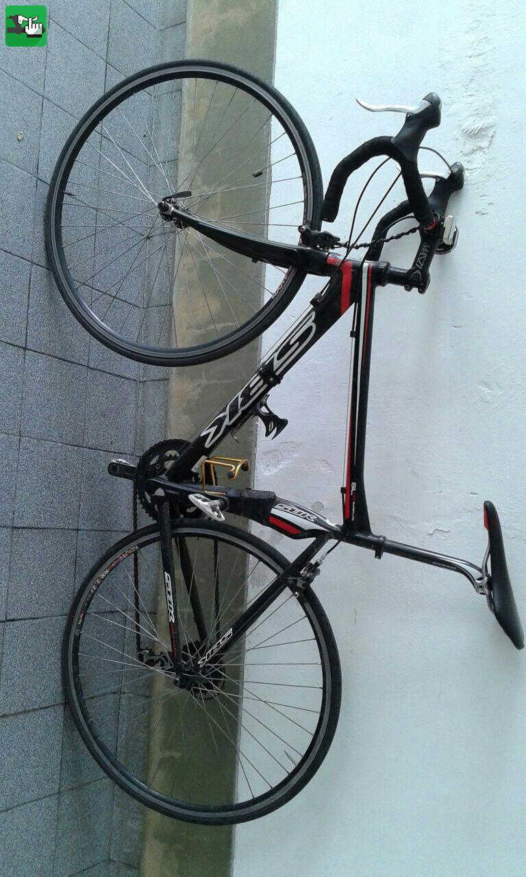 rutera 53
