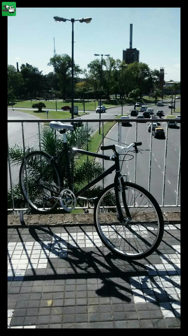 Posando al sol  en Rosario, Santa Fe, Argentina