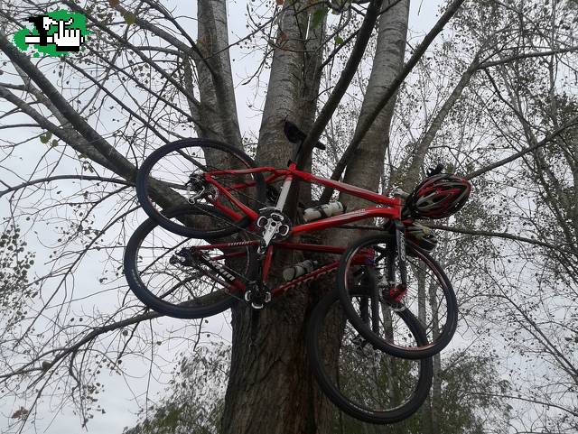 las bicis voladoras