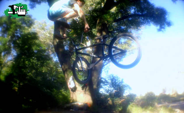 Tailwhip