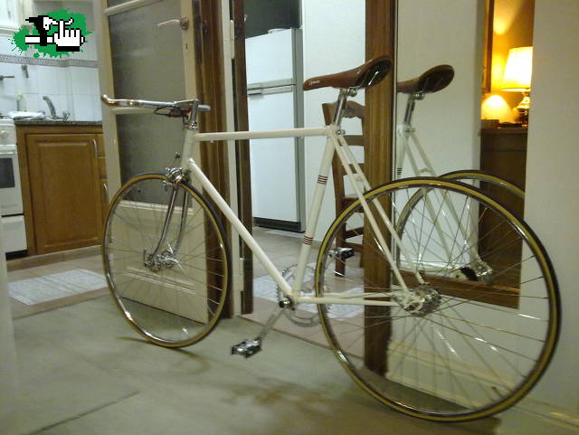 Mi proyecto fixie