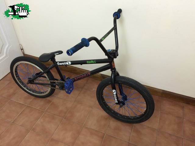 Gonzafer2886