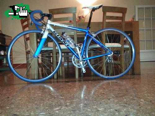 Vendo o Permuto Giant Tcr One