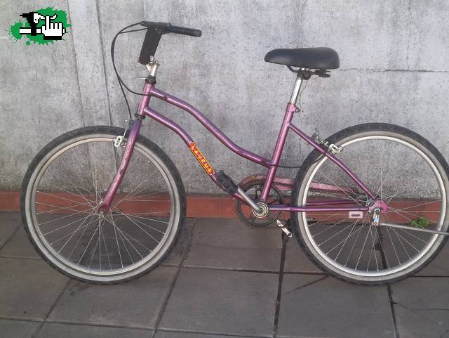 Vendo bicicleta playera de dama rodado 24