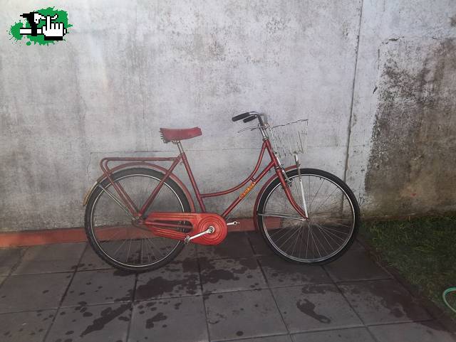 Vendo bicicleta inglesa de dama