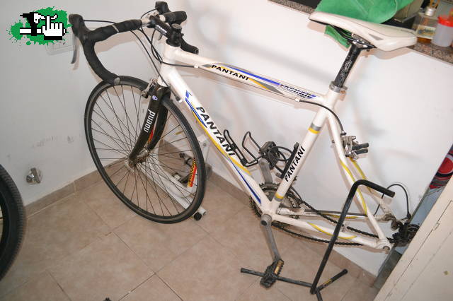ricardomossano