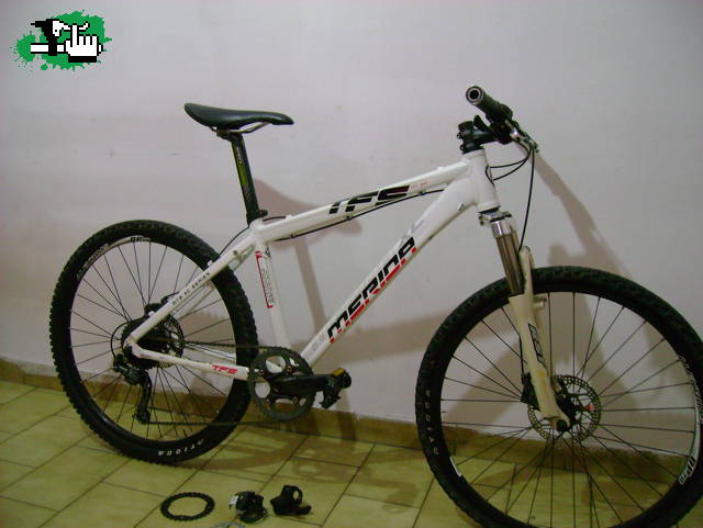 edudeolivos