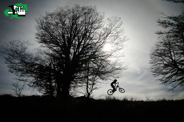 Freeride Buitreras