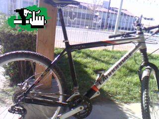 guiller-mo99