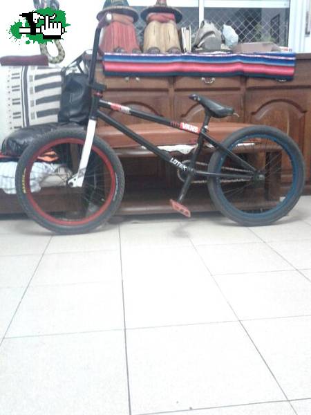 Bike check mayo 2015