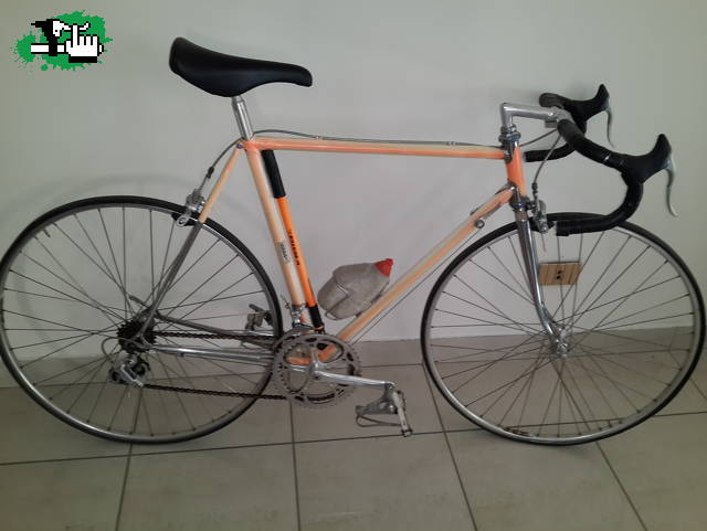 tiburon7