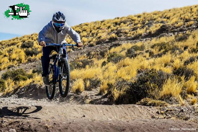 DUAL SLALOM