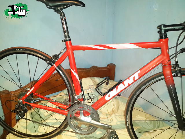 dario0123
