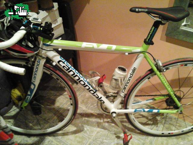 cannondale