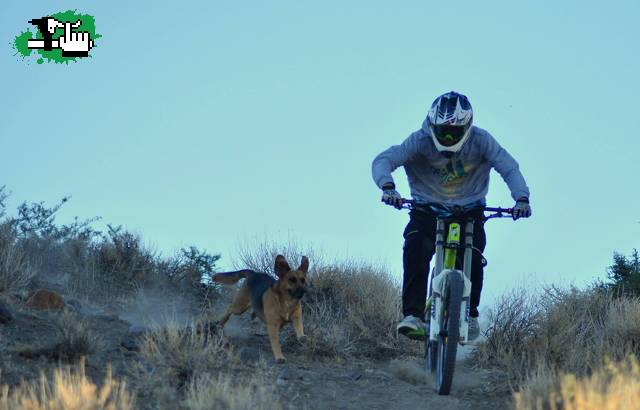 Andando con el mejor amigo