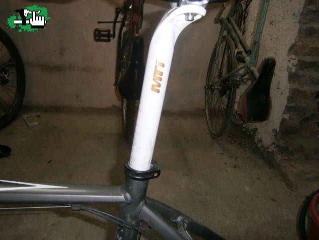 Baumann1