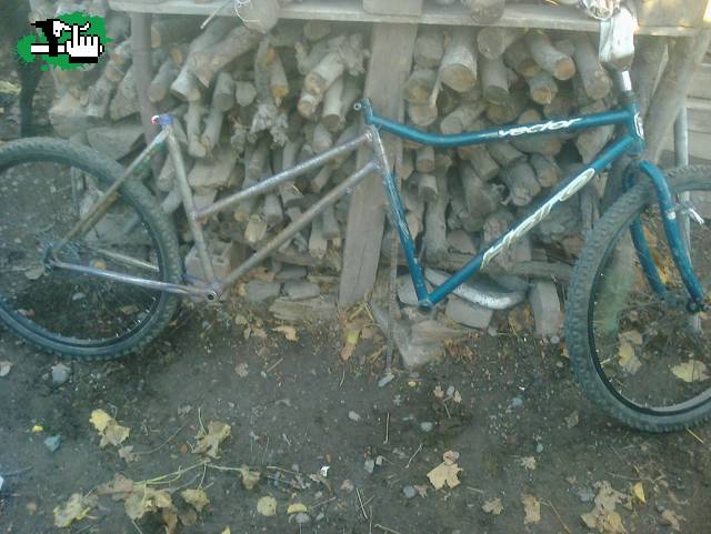 Tandem va queriendo