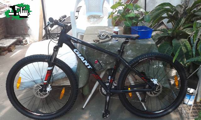 Mi nueva novia!