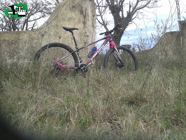 El venzo vieja entra a un campo del camino real san antonio de areco
