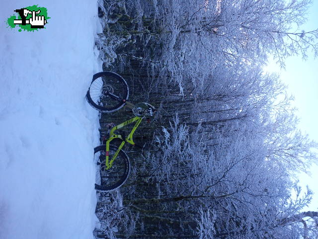 ushuaia salida con nieve!
