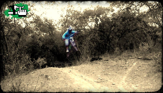Load To Whip