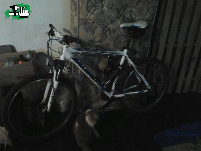 Raleigh 4.0 robada en La Plata