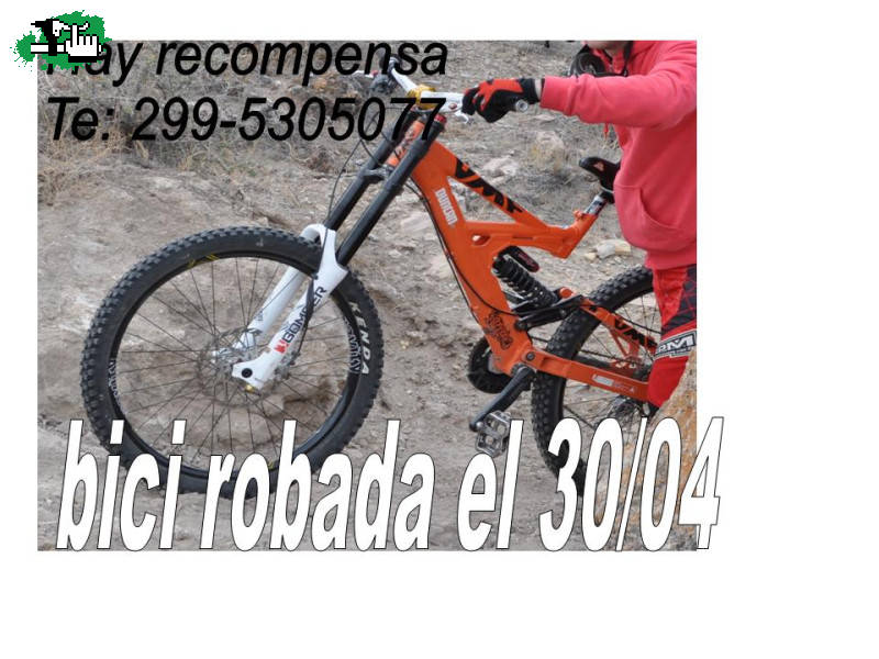 bici robada en neuquen capital