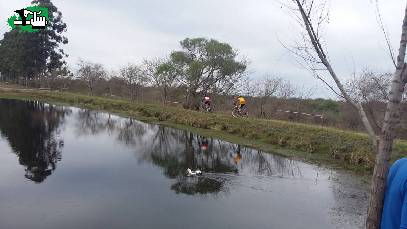 1 Rally Bike Felicianero