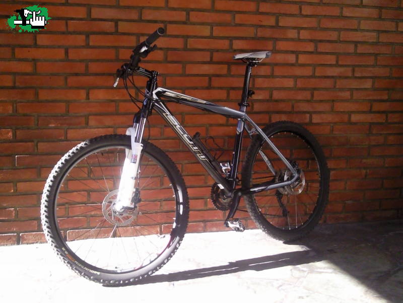 Robo Scott Scale 40 (zona Gregorio de Laferrere)