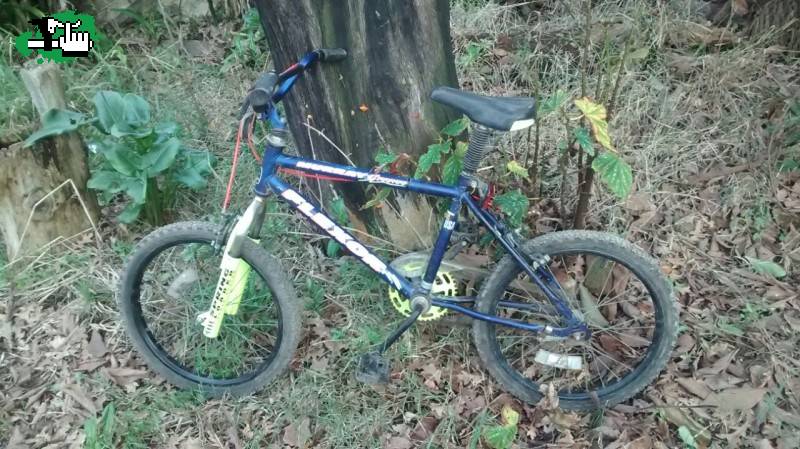 Bicicleta