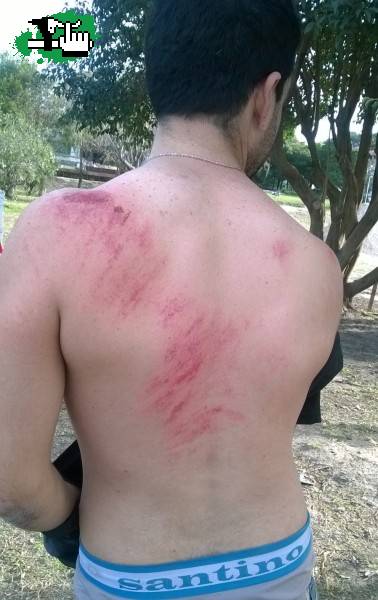 tatto nuevo