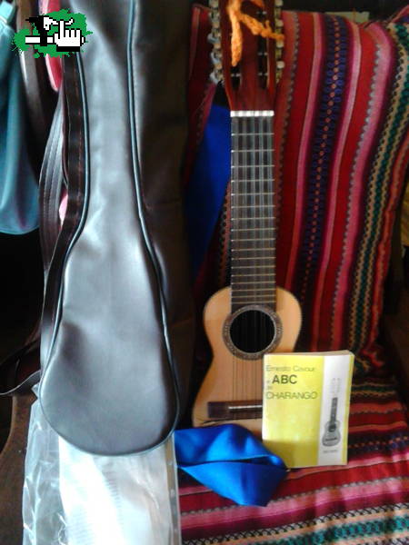 Permuto CHARANGO,por rutera con ergos,talle 52