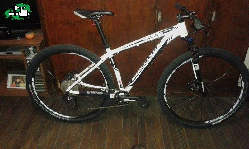 specialized 29