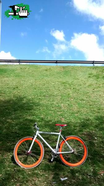Fixie create robada en Recoleta