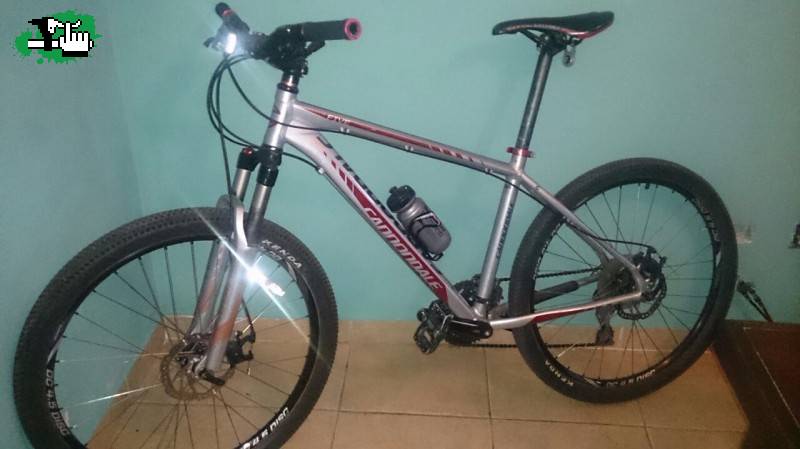 cannondale five trail